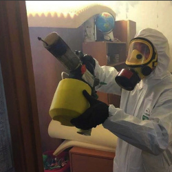 Уничтожение клопов в квартире. Выборг